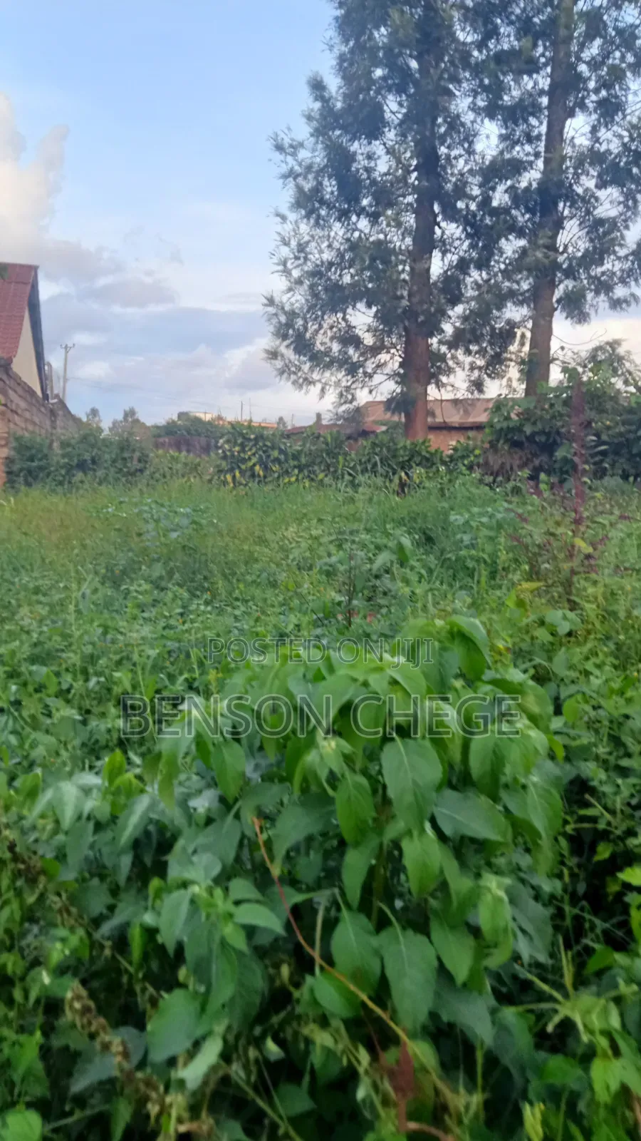 100by100 Plot for Sale in Maragua Town in Nginda