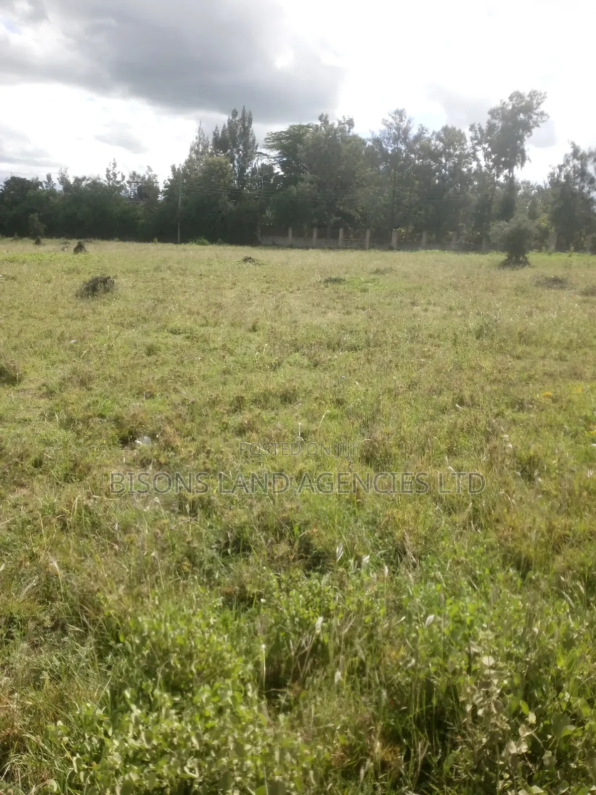 Available 200 Acres Land for Sale in Bisil
