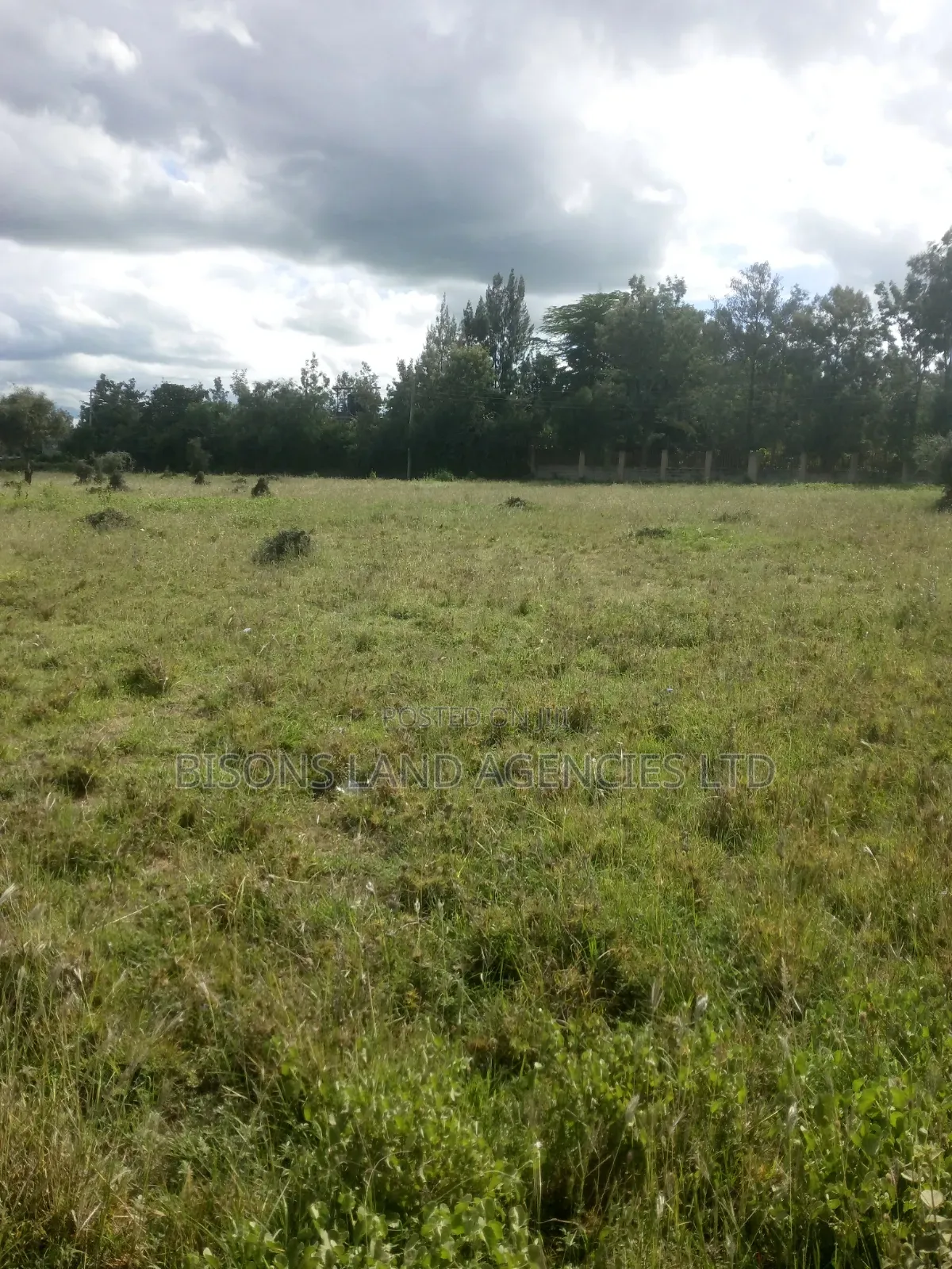 Available 200 Acres Land for Sale in Bisil