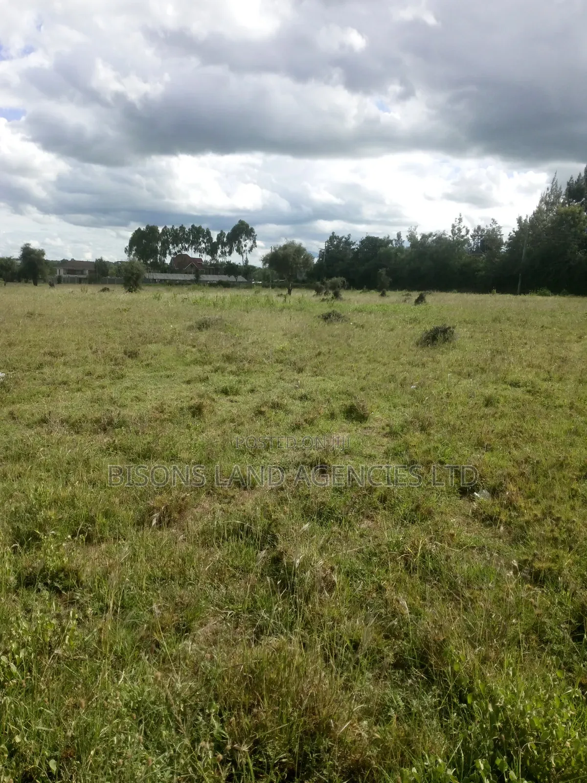 Available 200 Acres Land for Sale in Bisil