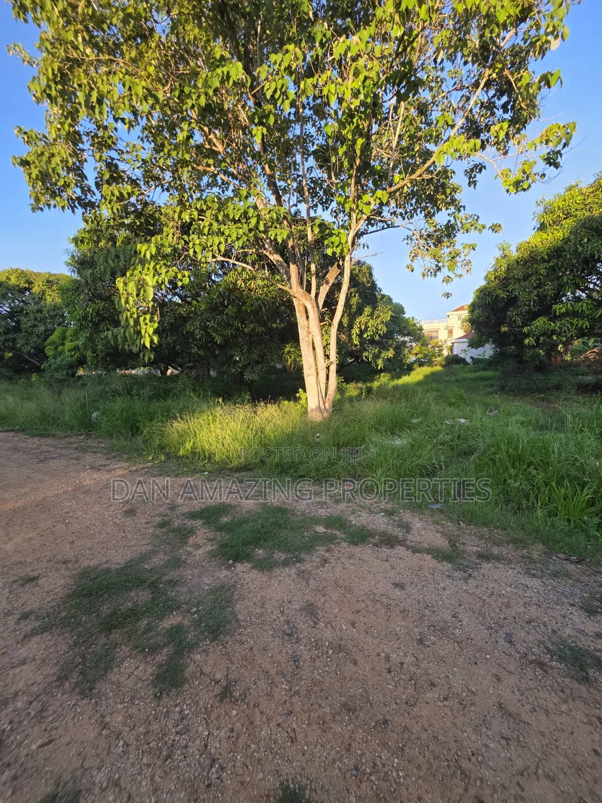 50 by 100 Plots in Mombasa Kikambala for Sale in a Gated Community in Kikambala