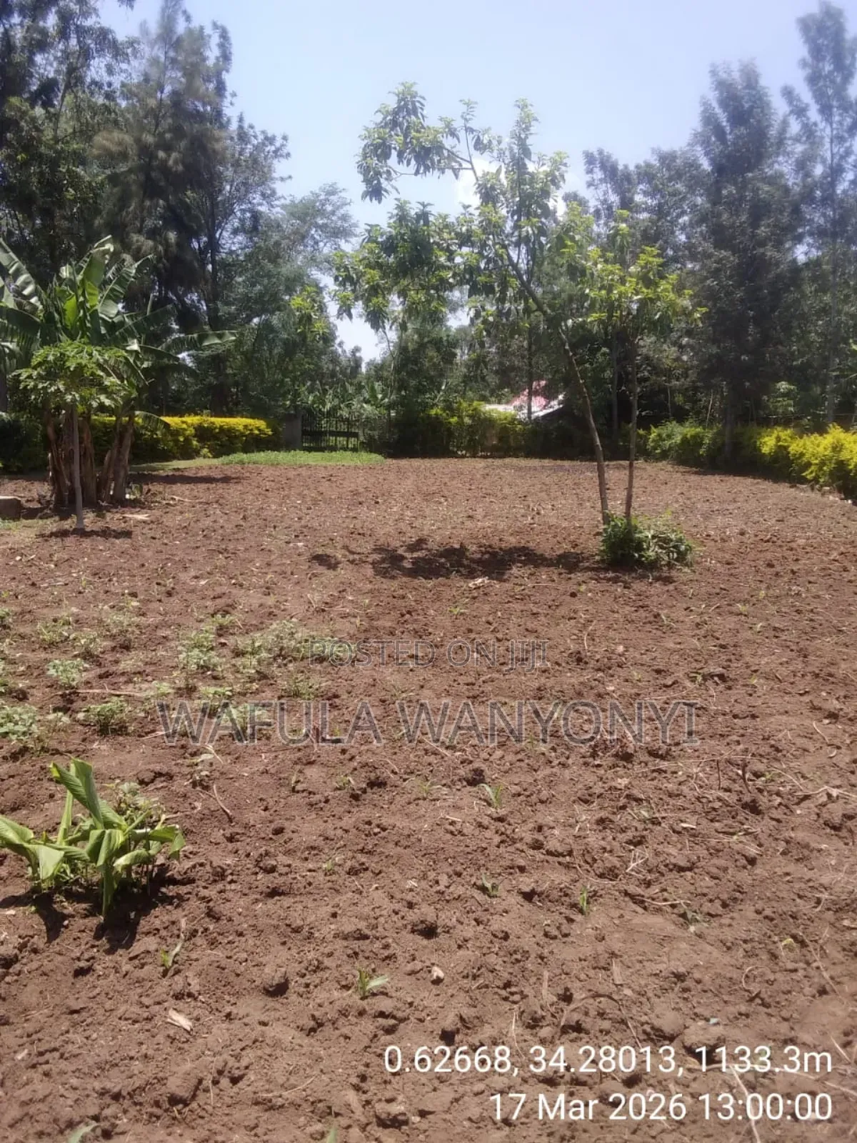 100 by 100 Kajei After Malaba in Malaba Central
