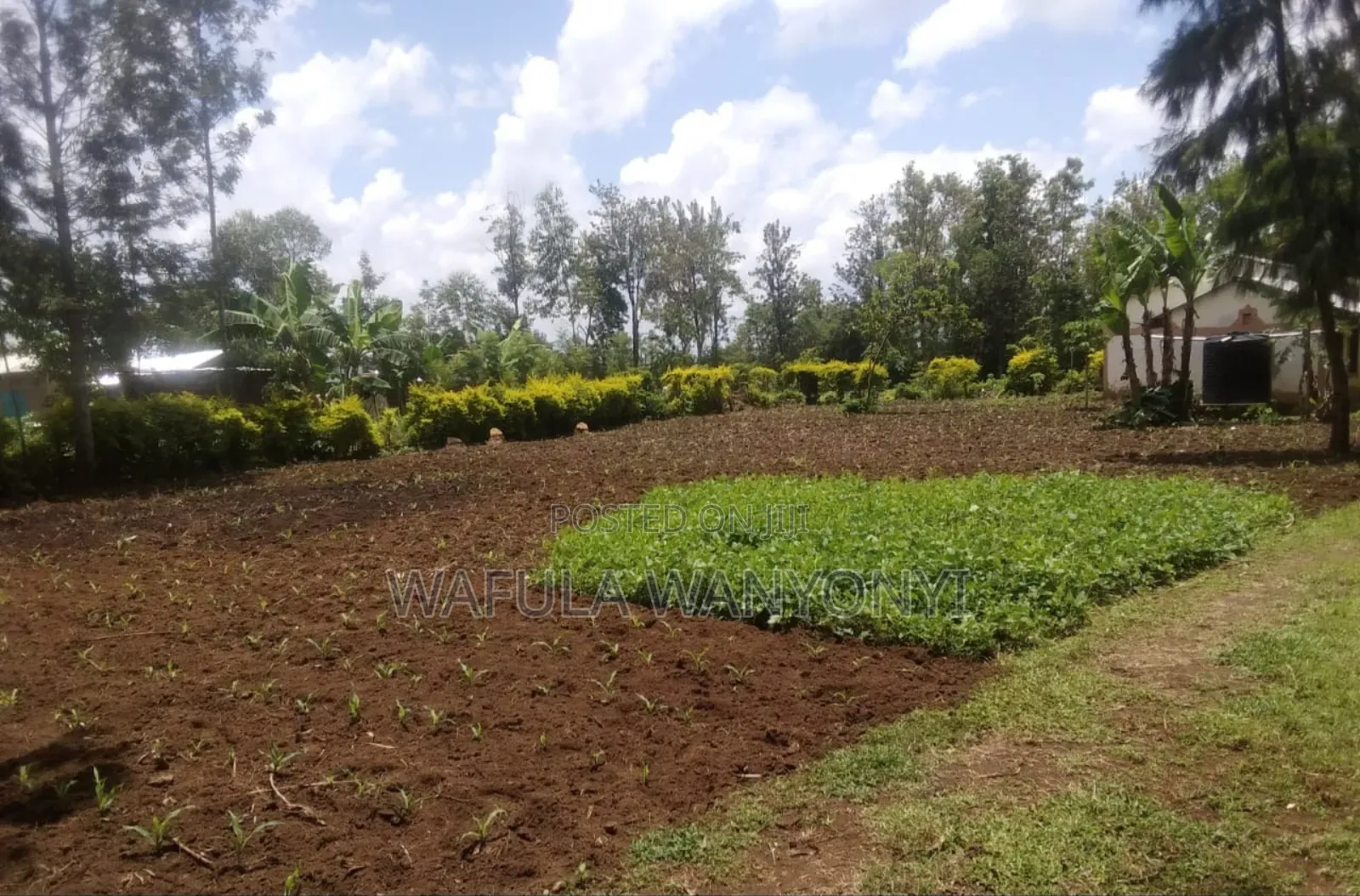 100 by 100 Kajei After Malaba in Malaba Central