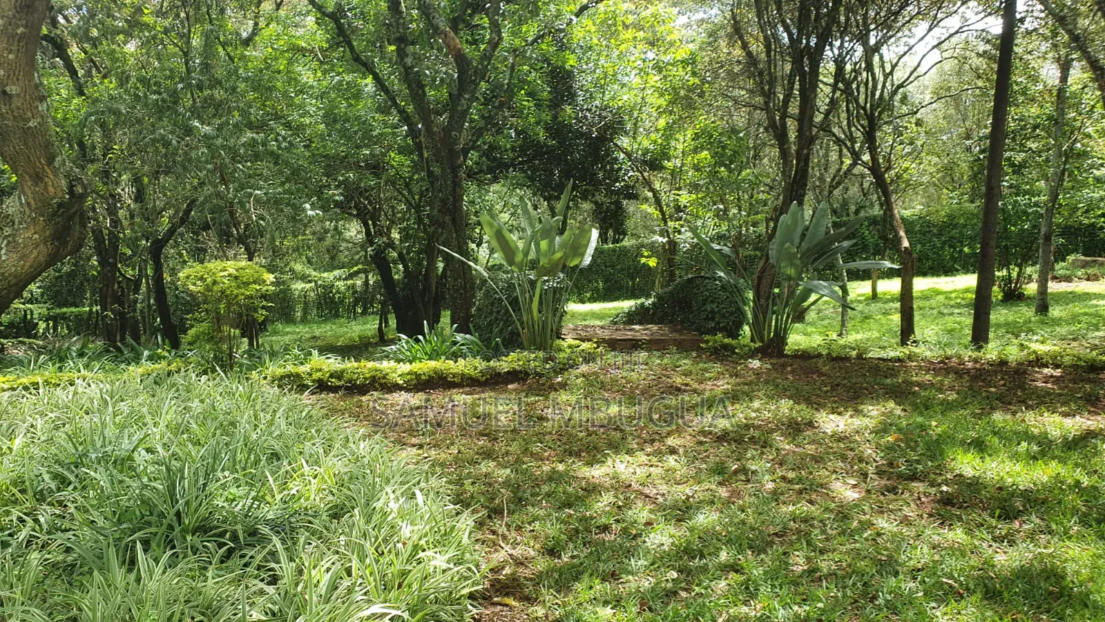 6bdrm House in Karen for sale in Karen C