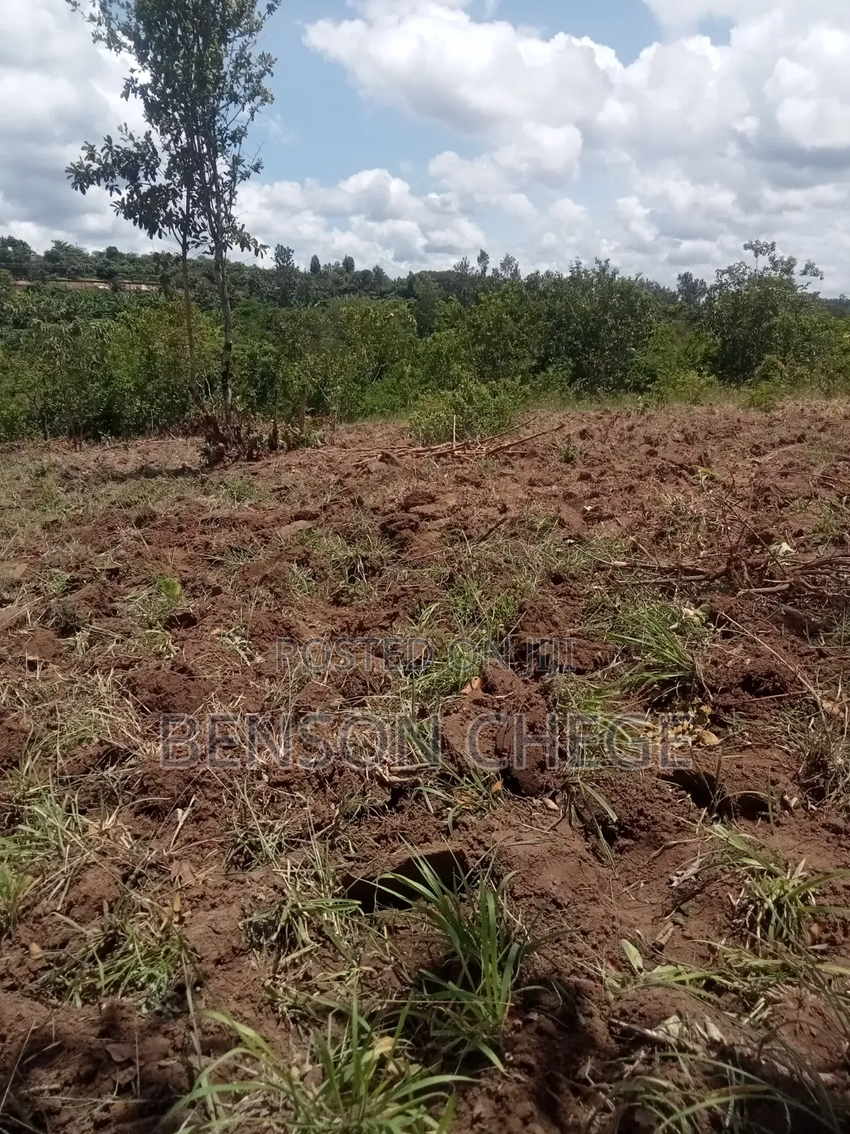 50by100 Plot for Sale in Maragua Ridge in Kambiti