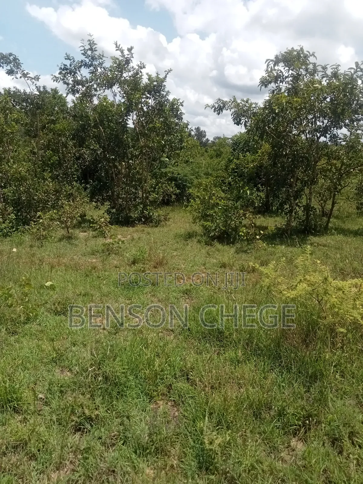 50by100 Plot for Sale in Maragua Ridge in Kambiti