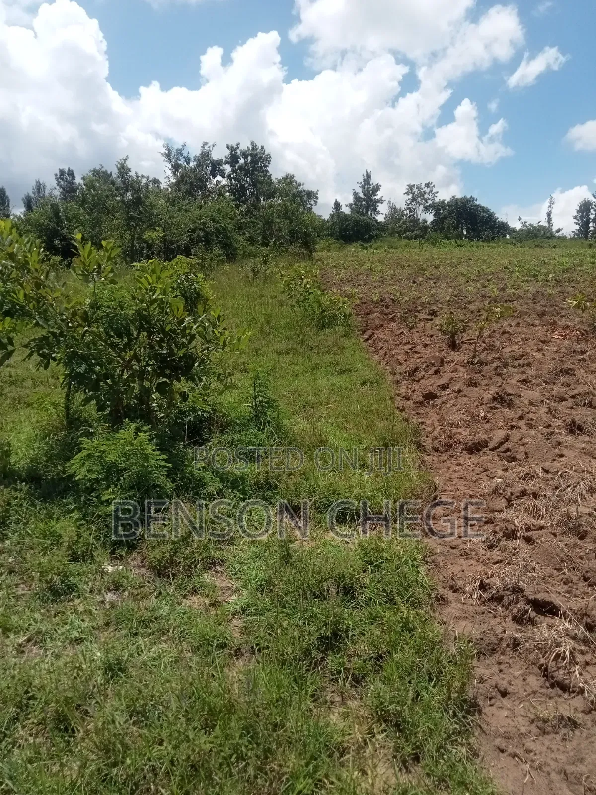 50by100 Plot for Sale in Maragua Ridge in Kambiti