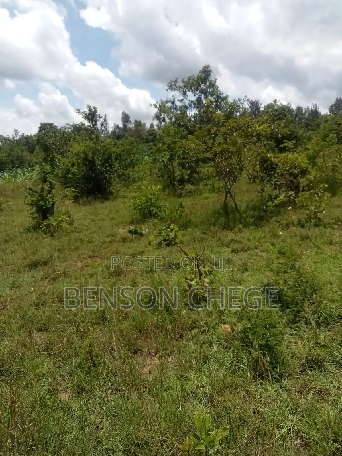 50by100 Plot for Sale in Maragua Ridge in Kambiti