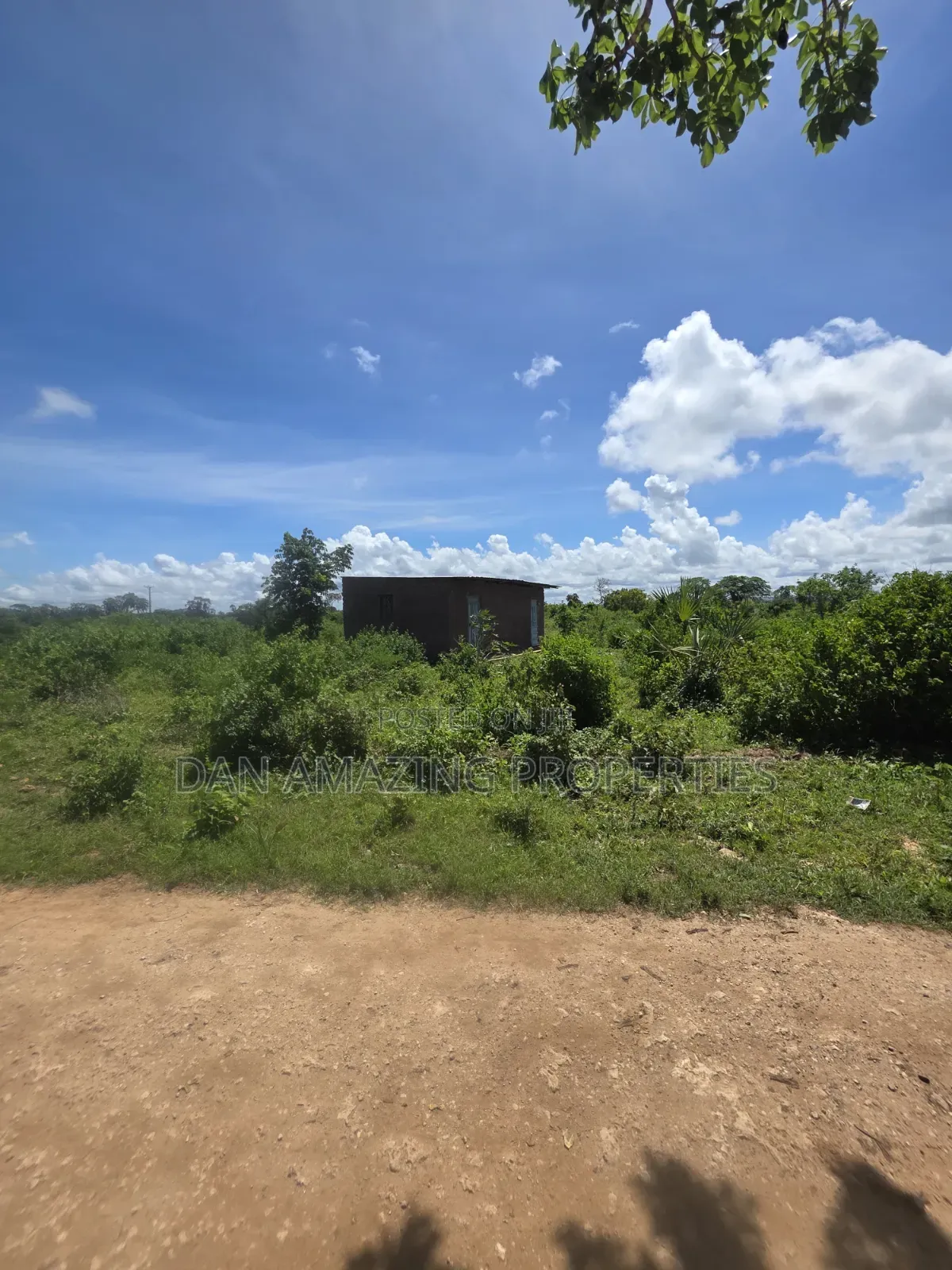 5 Acres For Sale As A Block In Diani Galu Kinondo 2nd Row From Beach in Diani