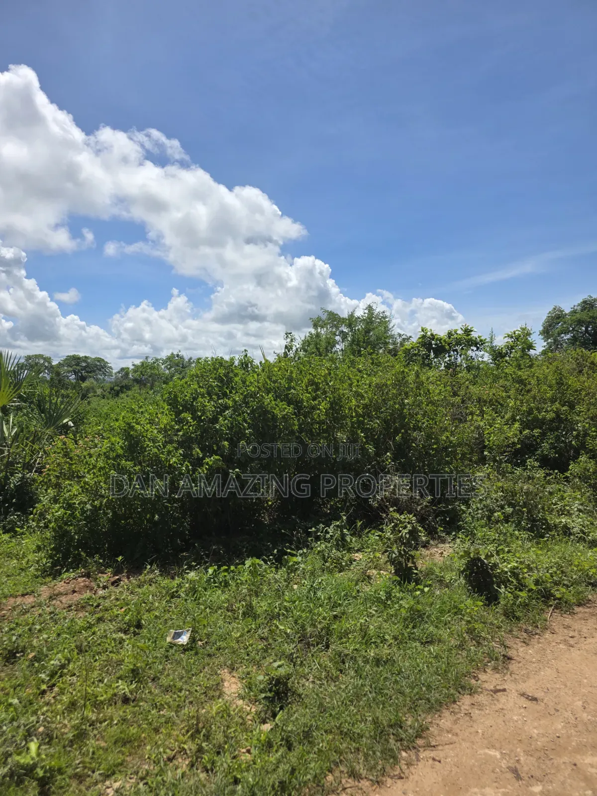 5 Acres For Sale As A Block In Diani Galu Kinondo 2nd Row From Beach in Diani