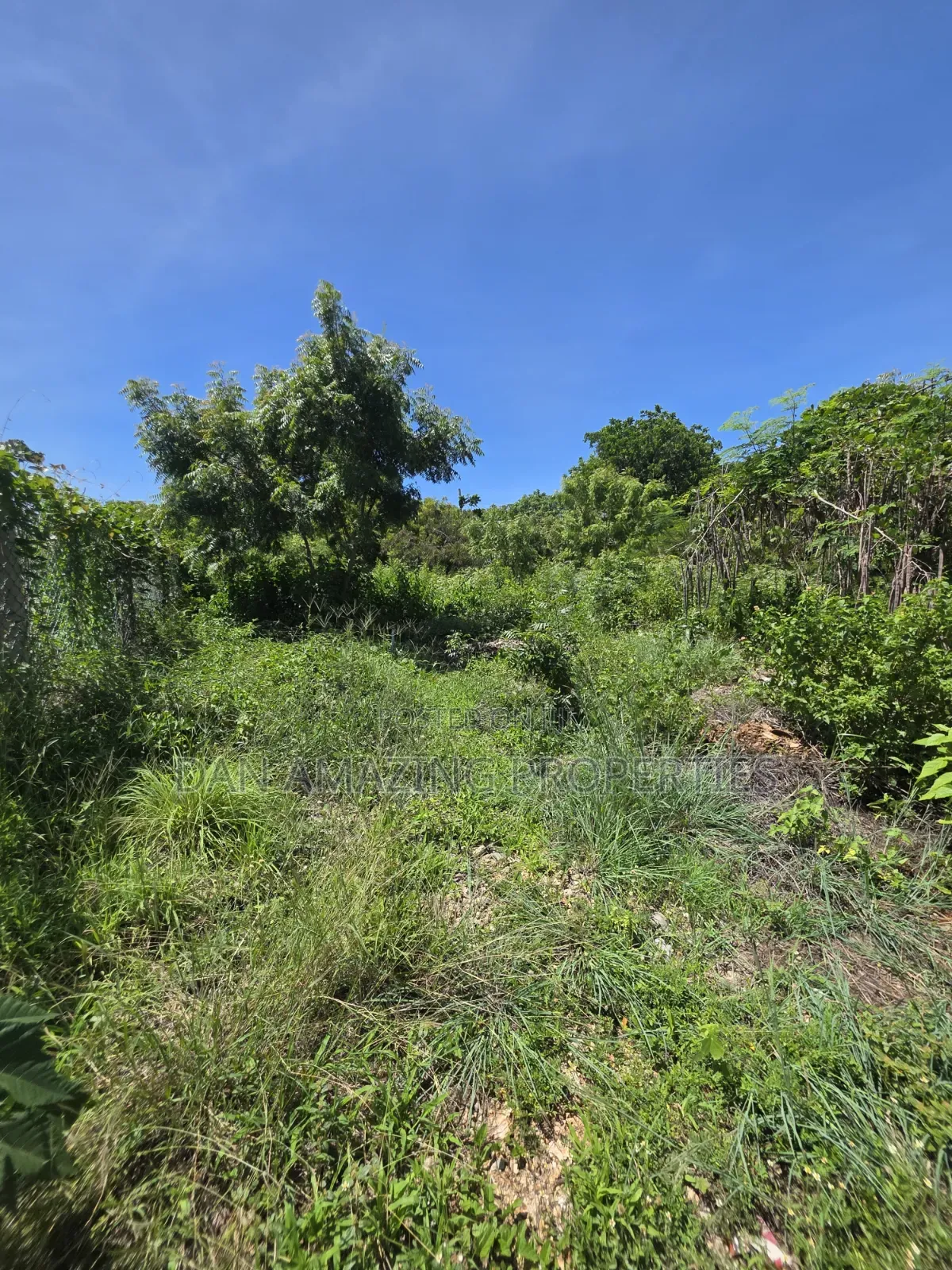 Fully Serviced 1/4 Acre Beach Plot for Sale Diani Galu Kinondo in Diani