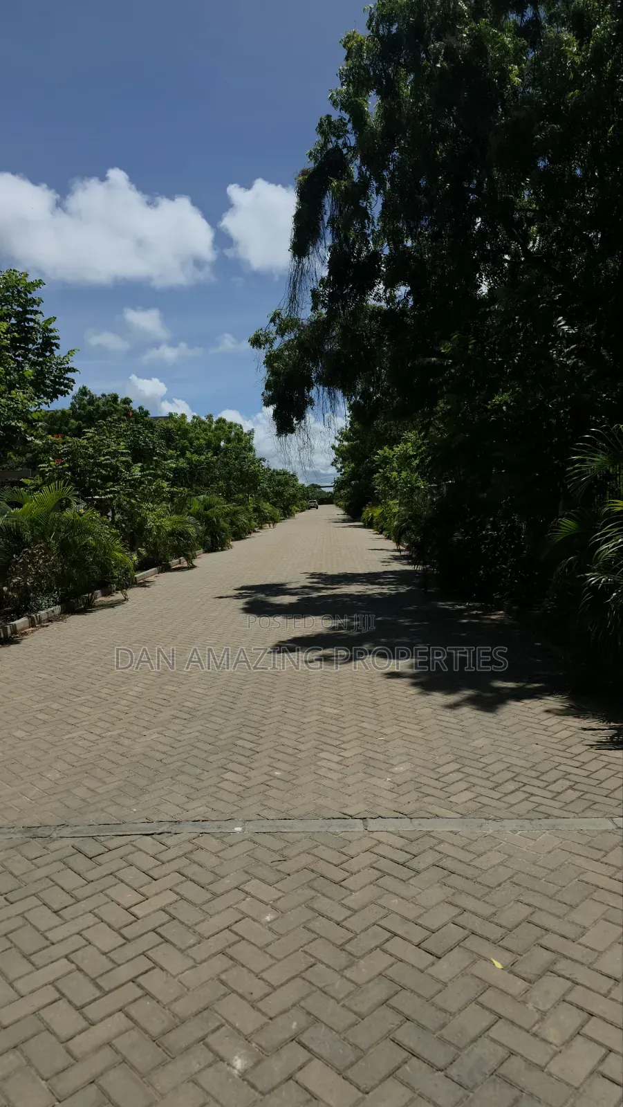Fully Serviced 1/4 Acre Beach Plot for Sale Diani Galu Kinondo in Diani