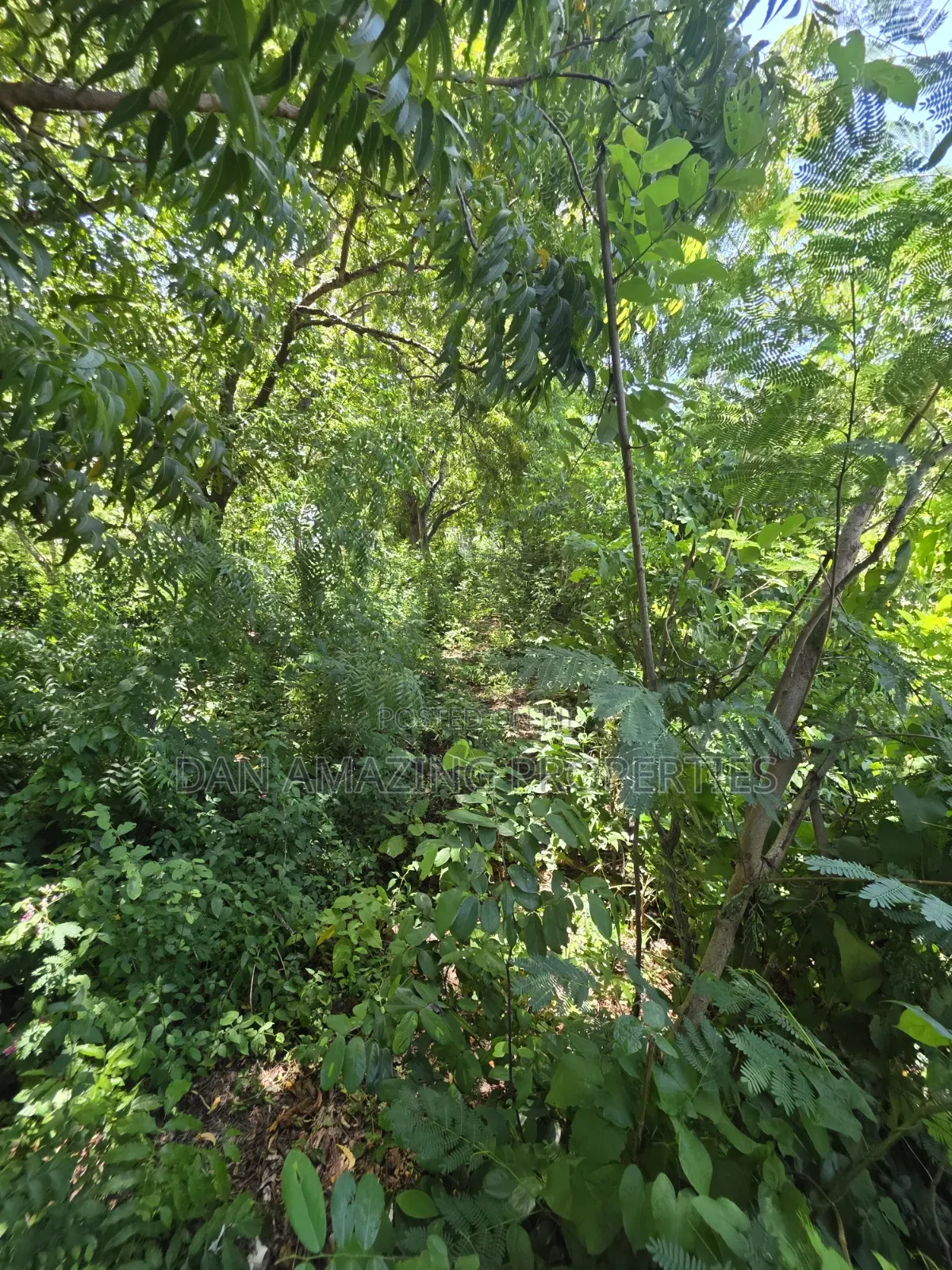 4 Acre In Diani Along Beach Road For Sale As A Block in Diani