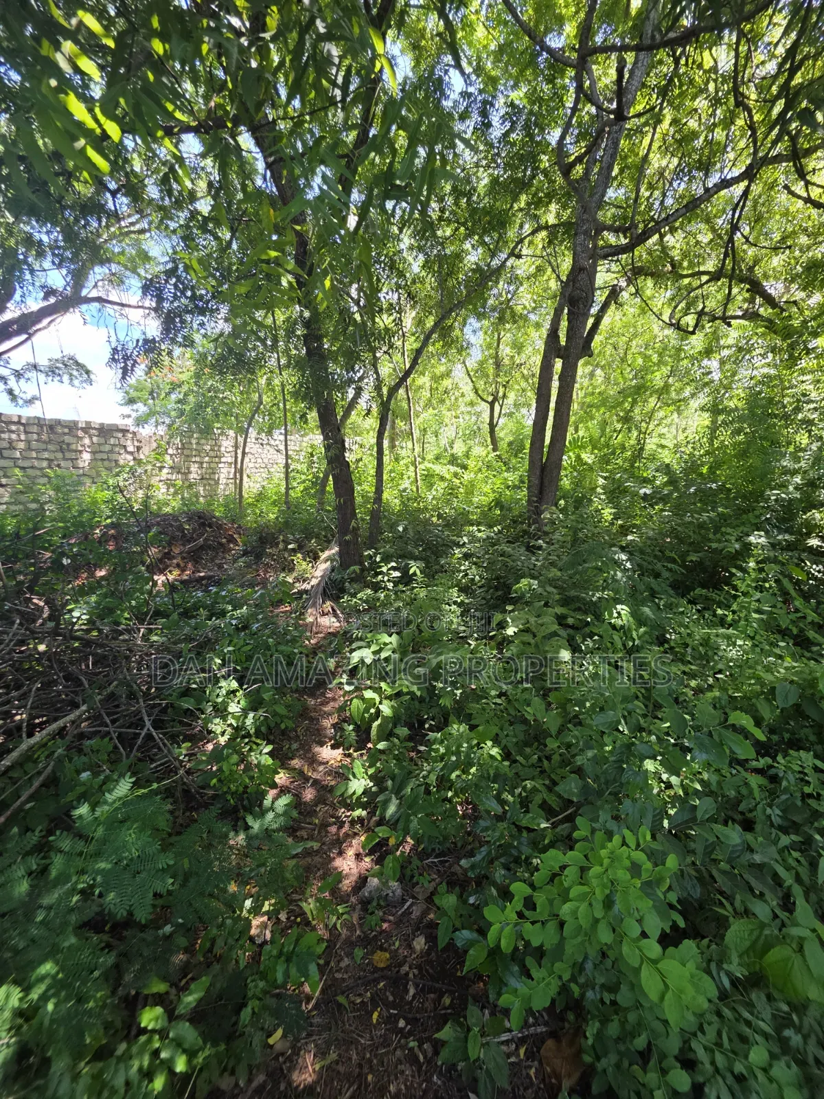 4 Acre In Diani Along Beach Road For Sale As A Block in Diani