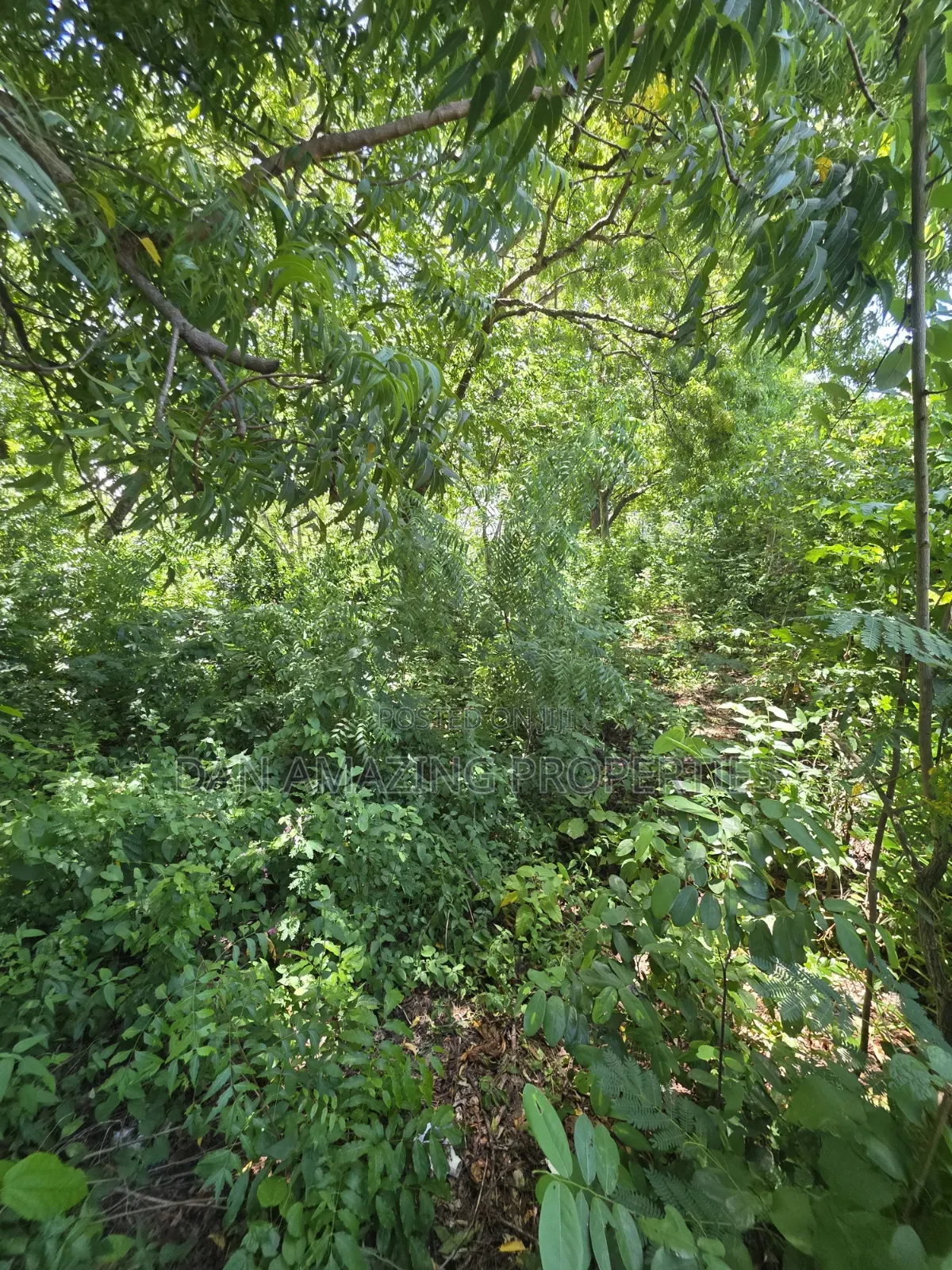 4 Acre In Diani Along Beach Road For Sale As A Block in Diani