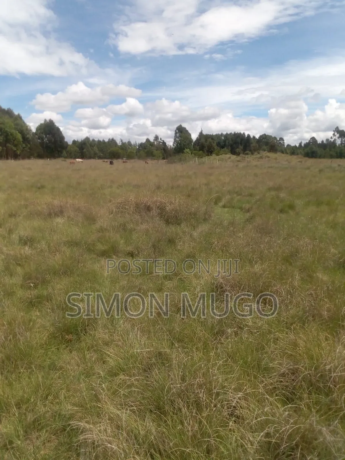 Ruai Kangundo Road Prime Commercial 2 Acres Fronting Kangundo Road in Ruai