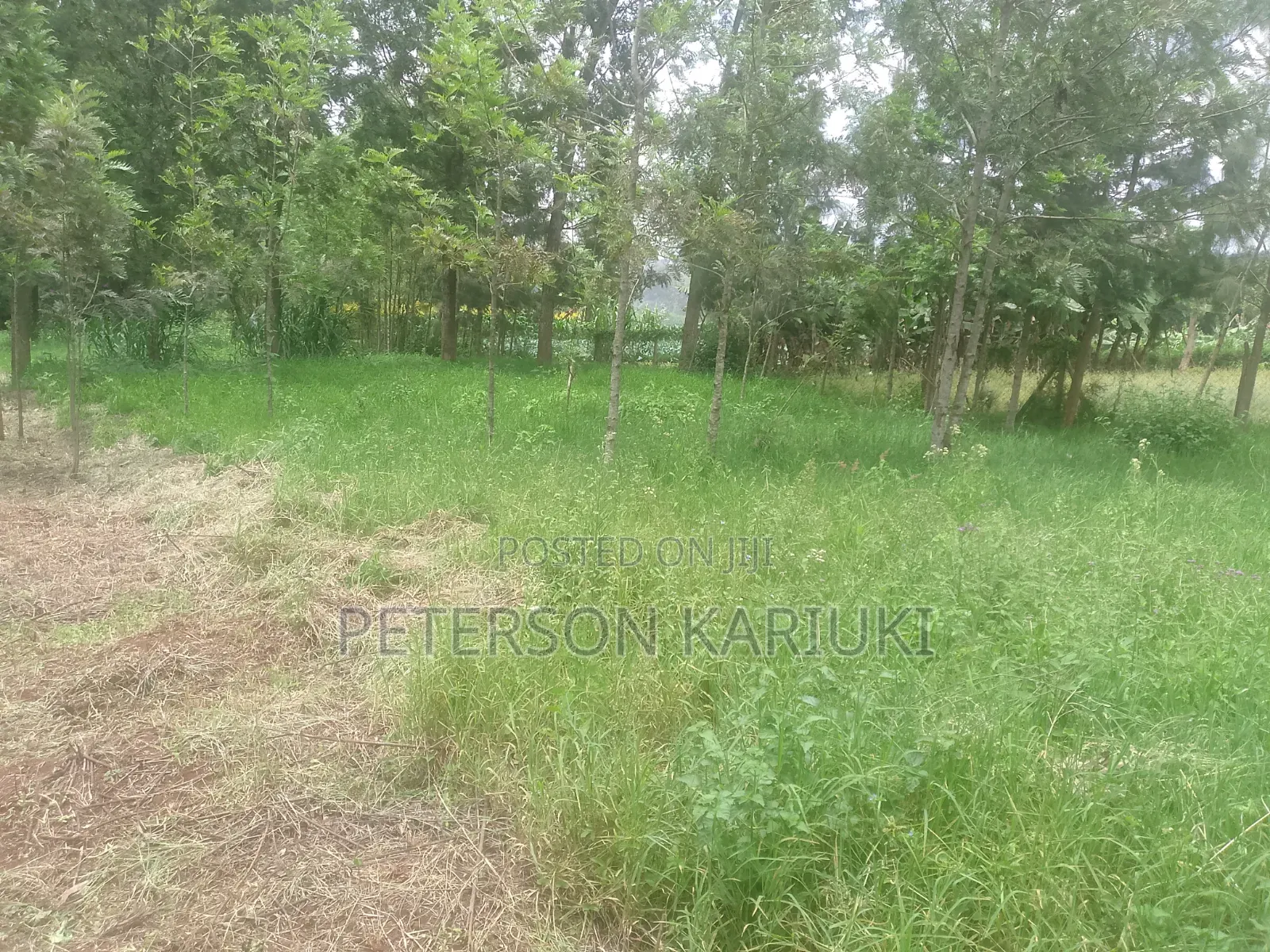 Kibiko Kihbt:1.2 Acres on Sale in Kibiku