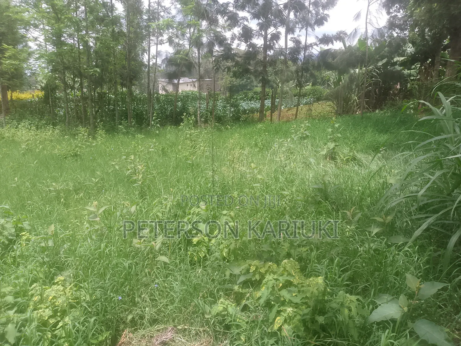 Kibiko Kihbt:1.2 Acres on Sale in Kibiku