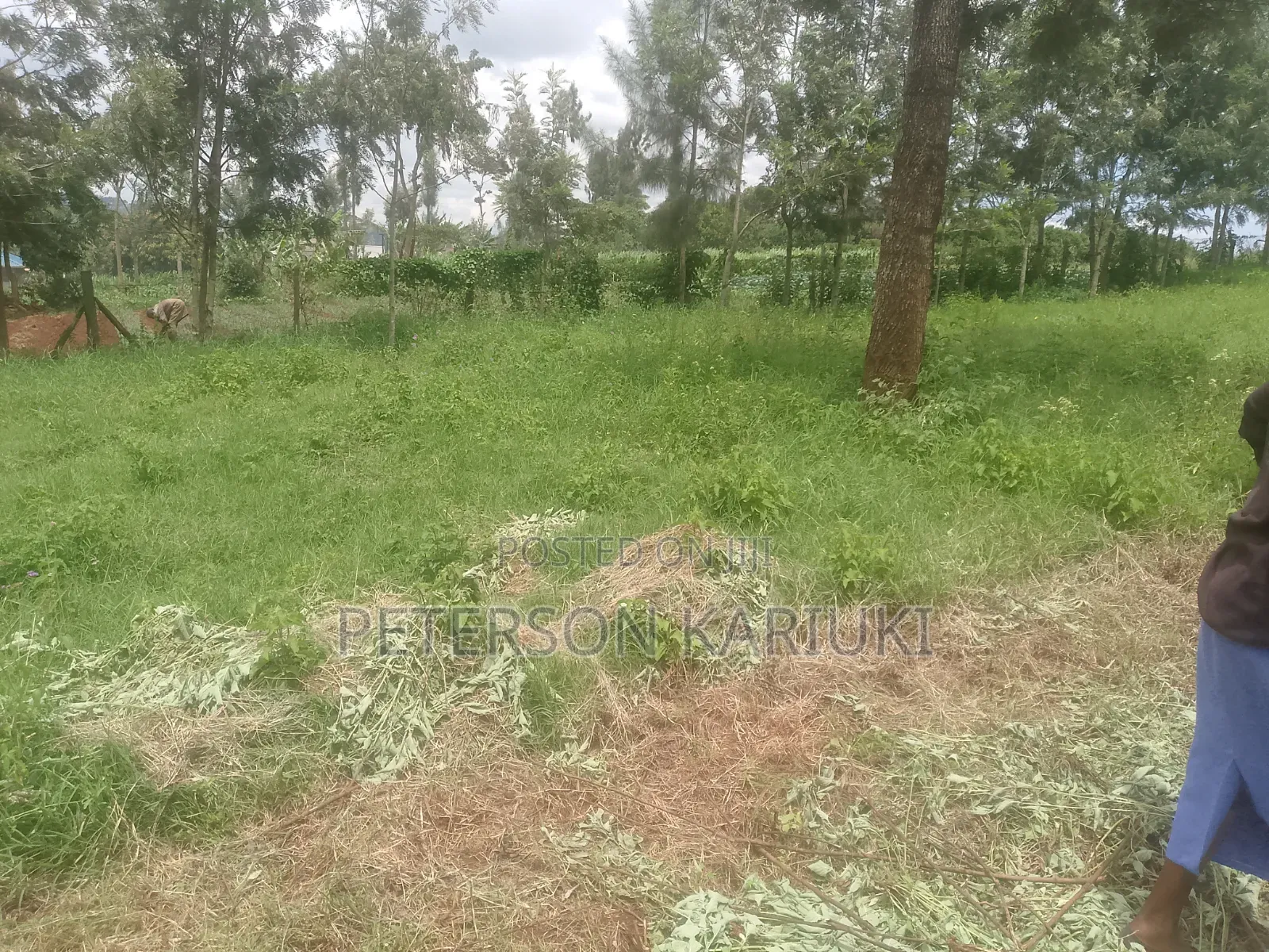 Kibiko Kihbt:1.2 Acres on Sale in Kibiku