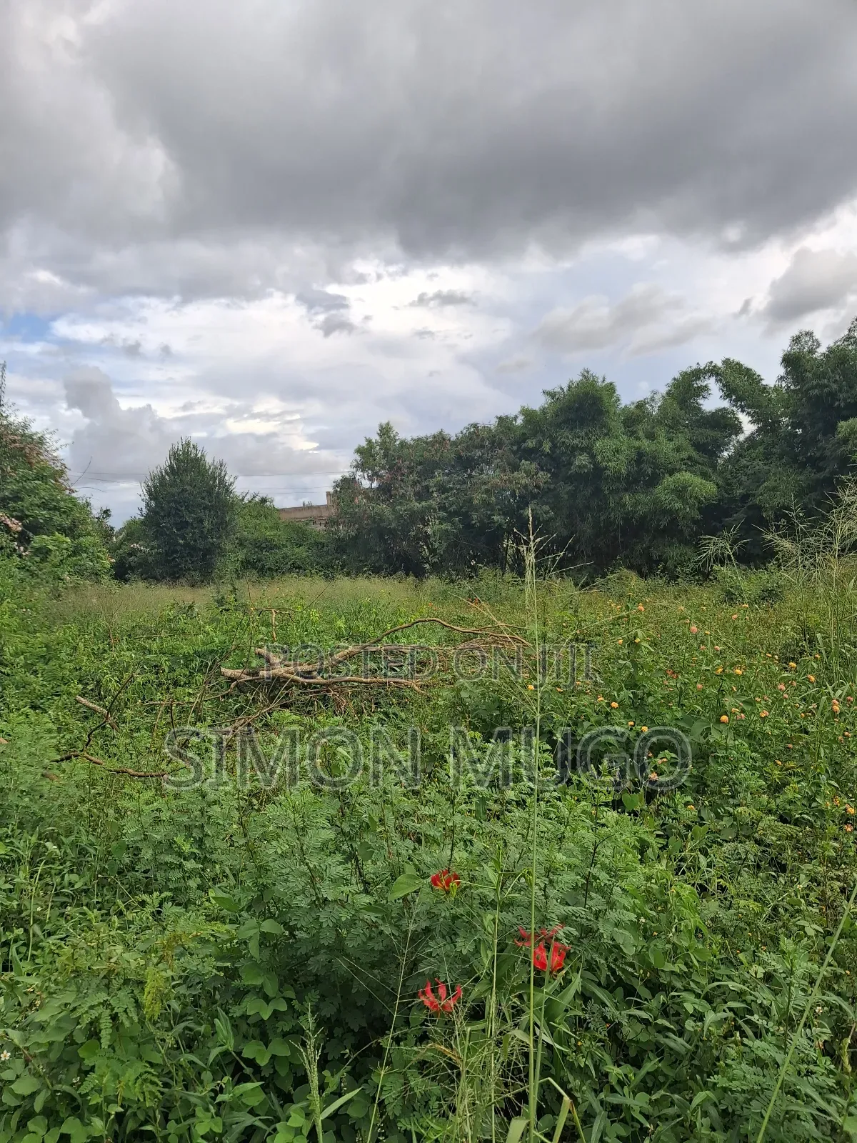 Kamiti Corner Opposite Woodcreek School Prime 1/2 Ac 1.25 Ac in Kahawa Maziwa
