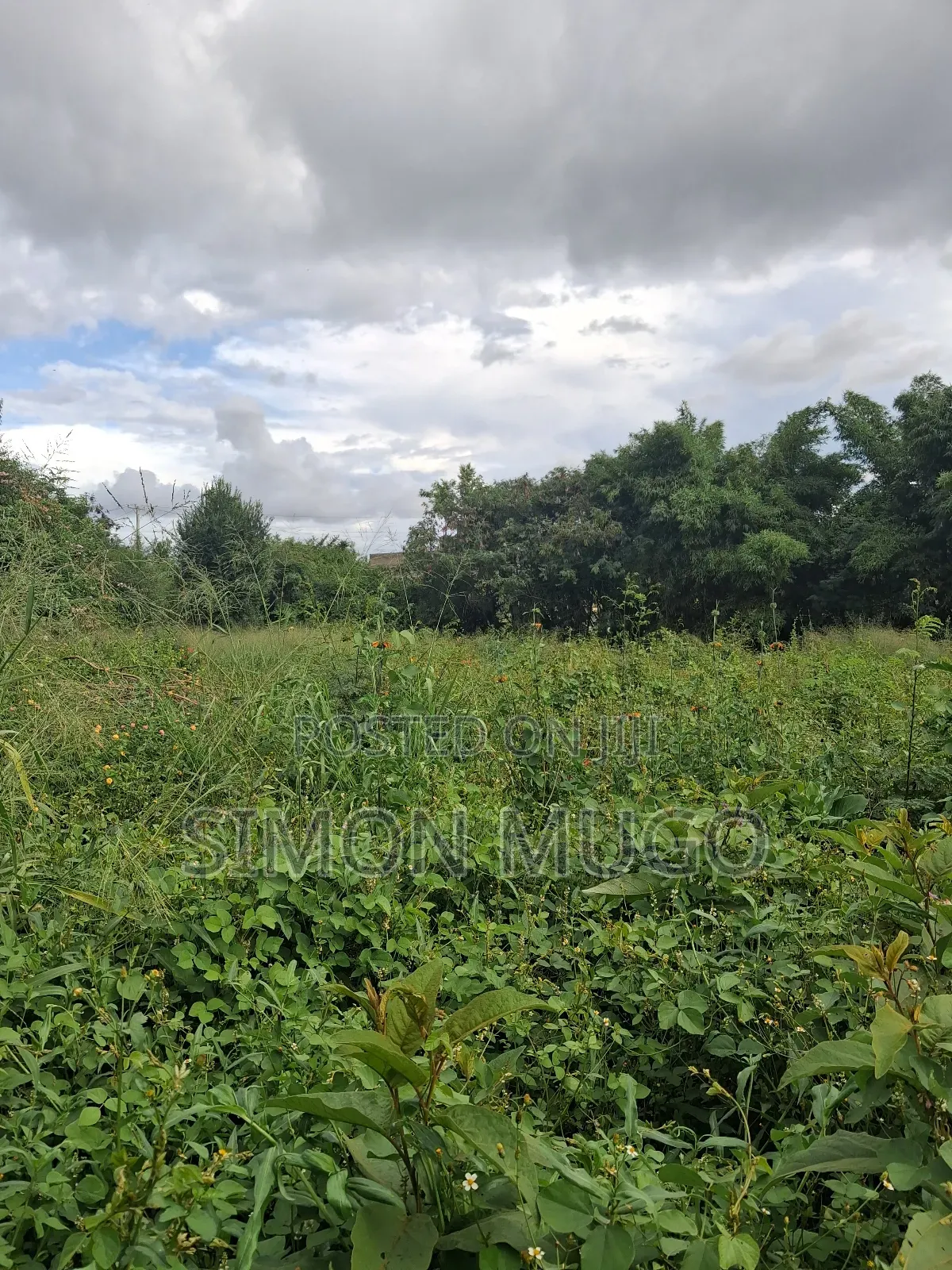 Kamiti Corner Opposite Woodcreek School Prime 1/2 Ac 1.25 Ac in Kahawa Maziwa