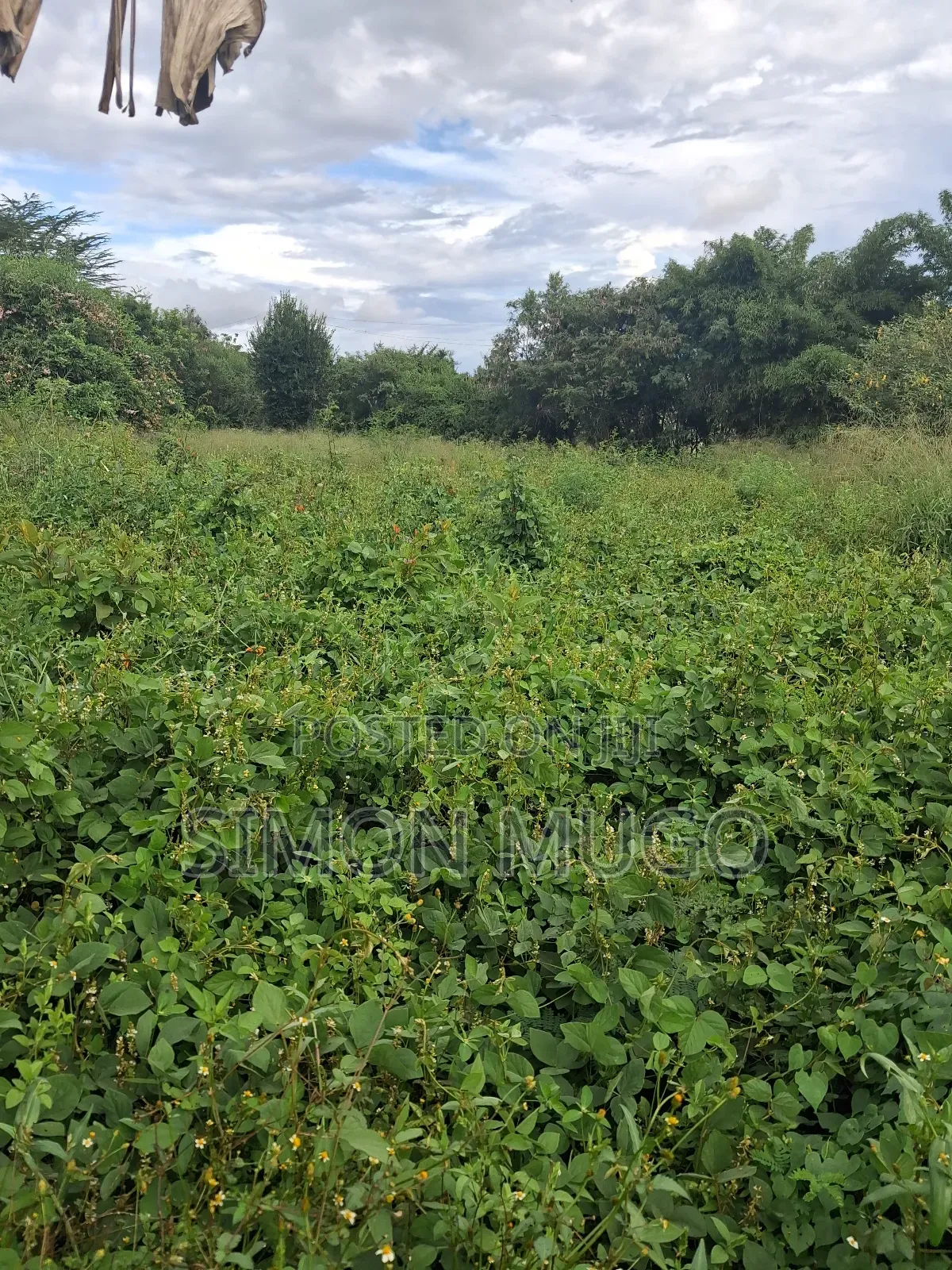 Kamiti Corner Opposite Woodcreek School Prime 1/2 Ac 1.25 Ac in Kahawa Maziwa