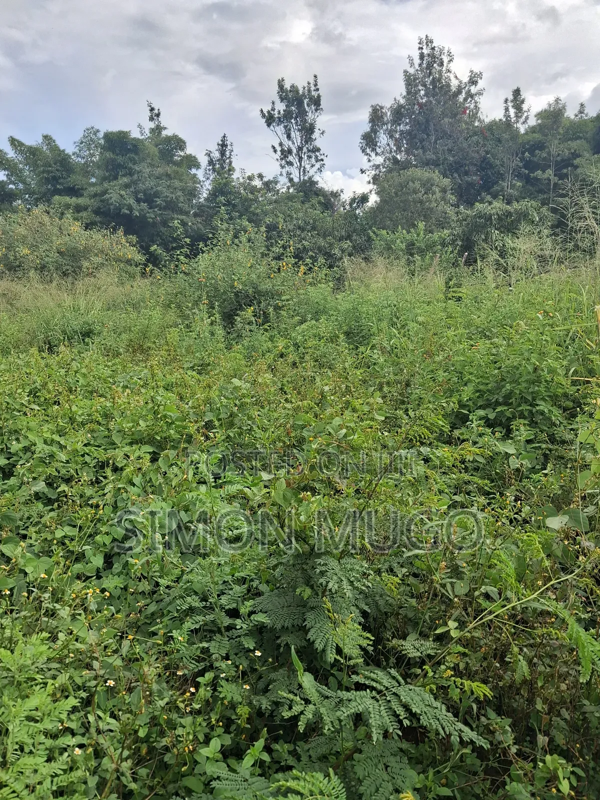 Kamiti Corner Opposite Woodcreek School Prime 1/2 Ac 1.25 Ac in Kahawa Maziwa