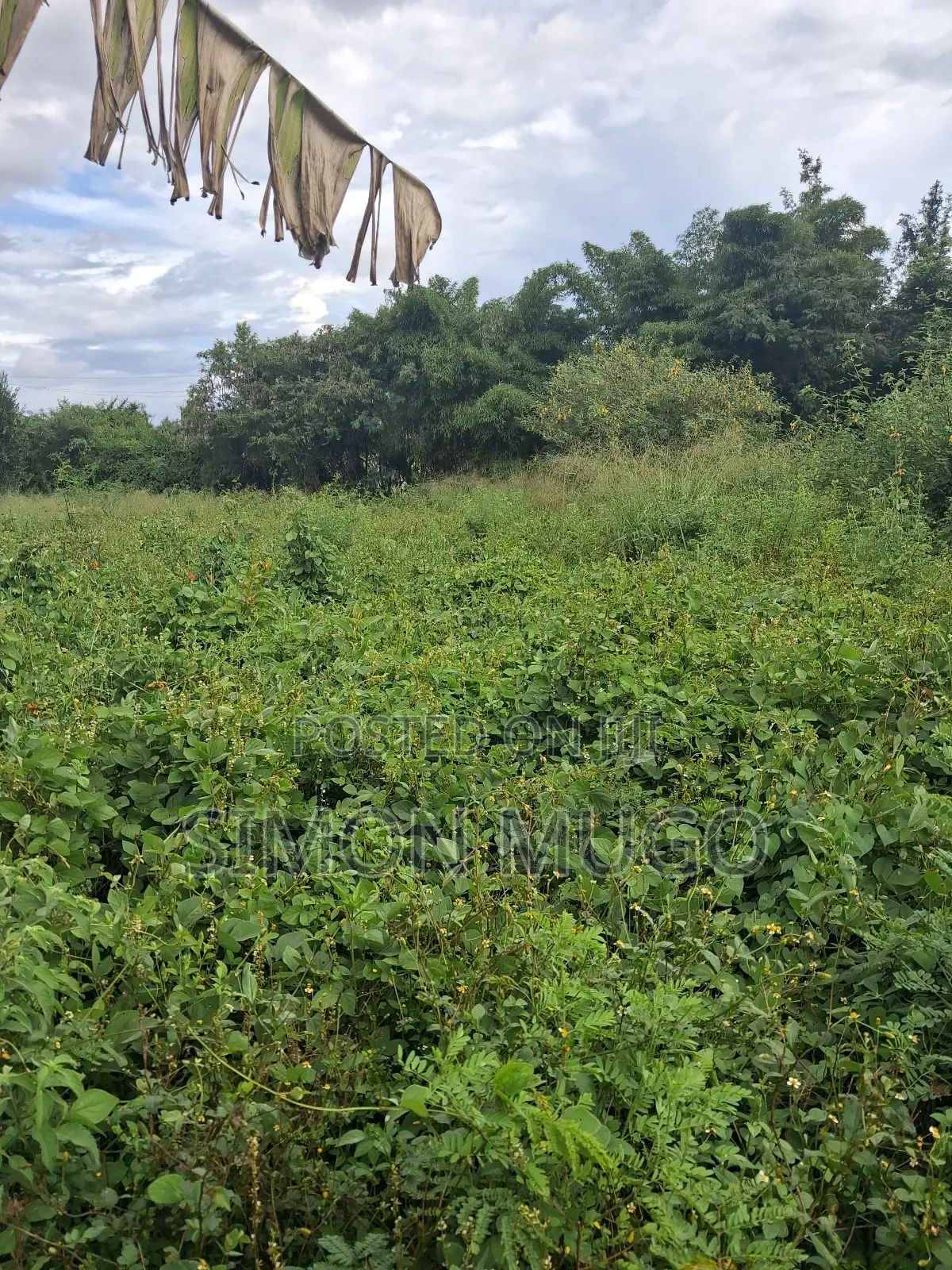 Kamiti Corner Opposite Woodcreek School Prime 1/2 Ac 1.25 Ac in Kahawa Maziwa