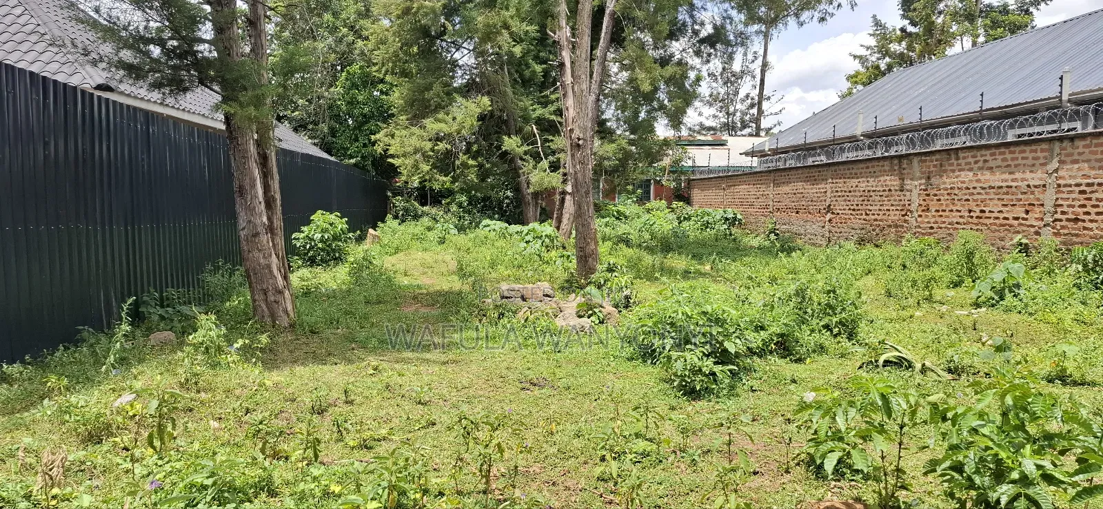 50 by 100 Sunrise Bungoma Town in Township D