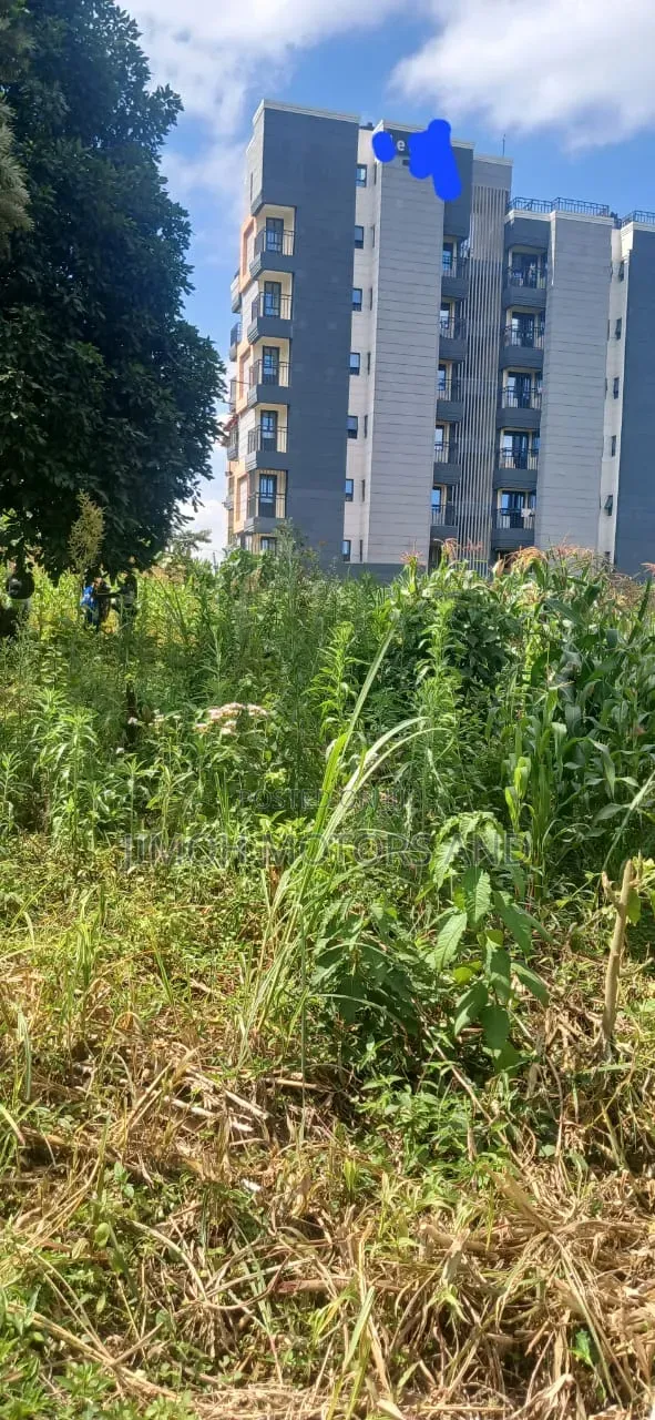 Land in Ruaka for Sale in Ruaka