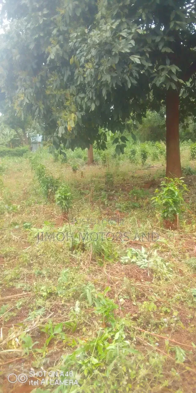 Land in Ruaka for Sale in Ruaka
