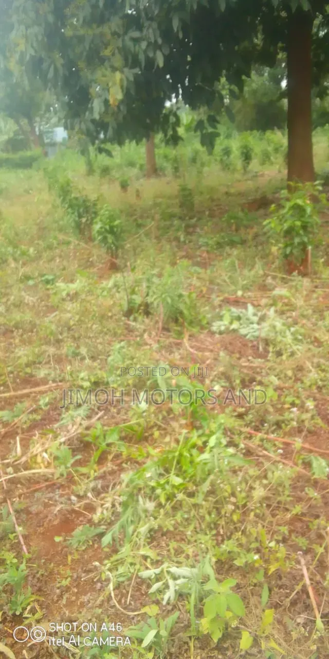 Land in Ruaka for Sale in Ruaka