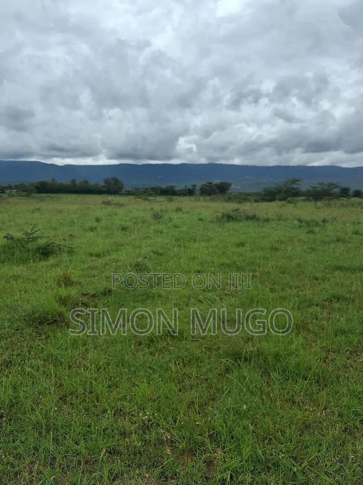 Maai-Mahiu Prime 5 Acres Near Governors Senior School Freehold Title in Mai Mahiu