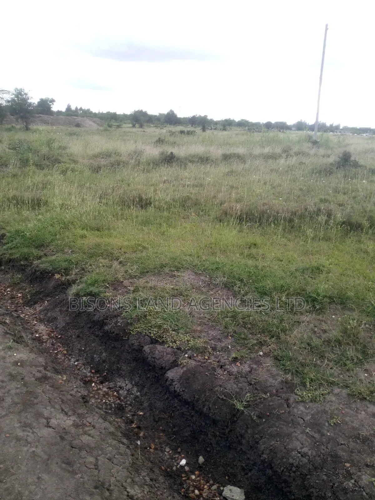 Available 50 Acres Land for Sale in Bisil