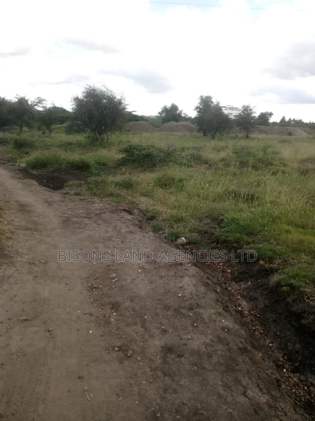 Available 50 Acres Land for Sale in Bisil