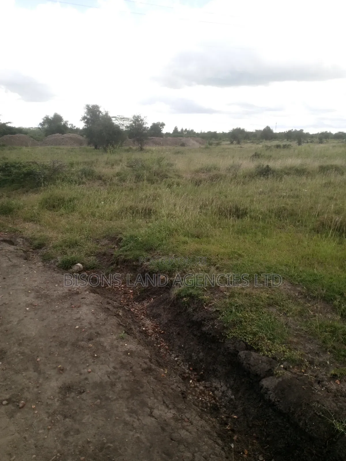 Available 50 Acres Land for Sale in Bisil