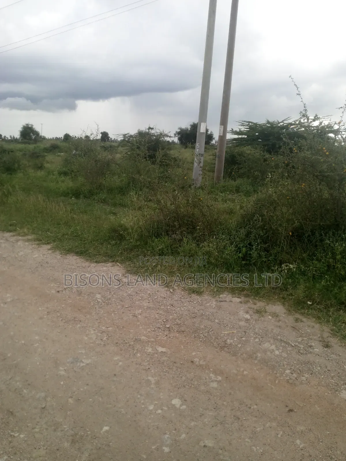 Available 10 Acres Land for Sale in Bisil