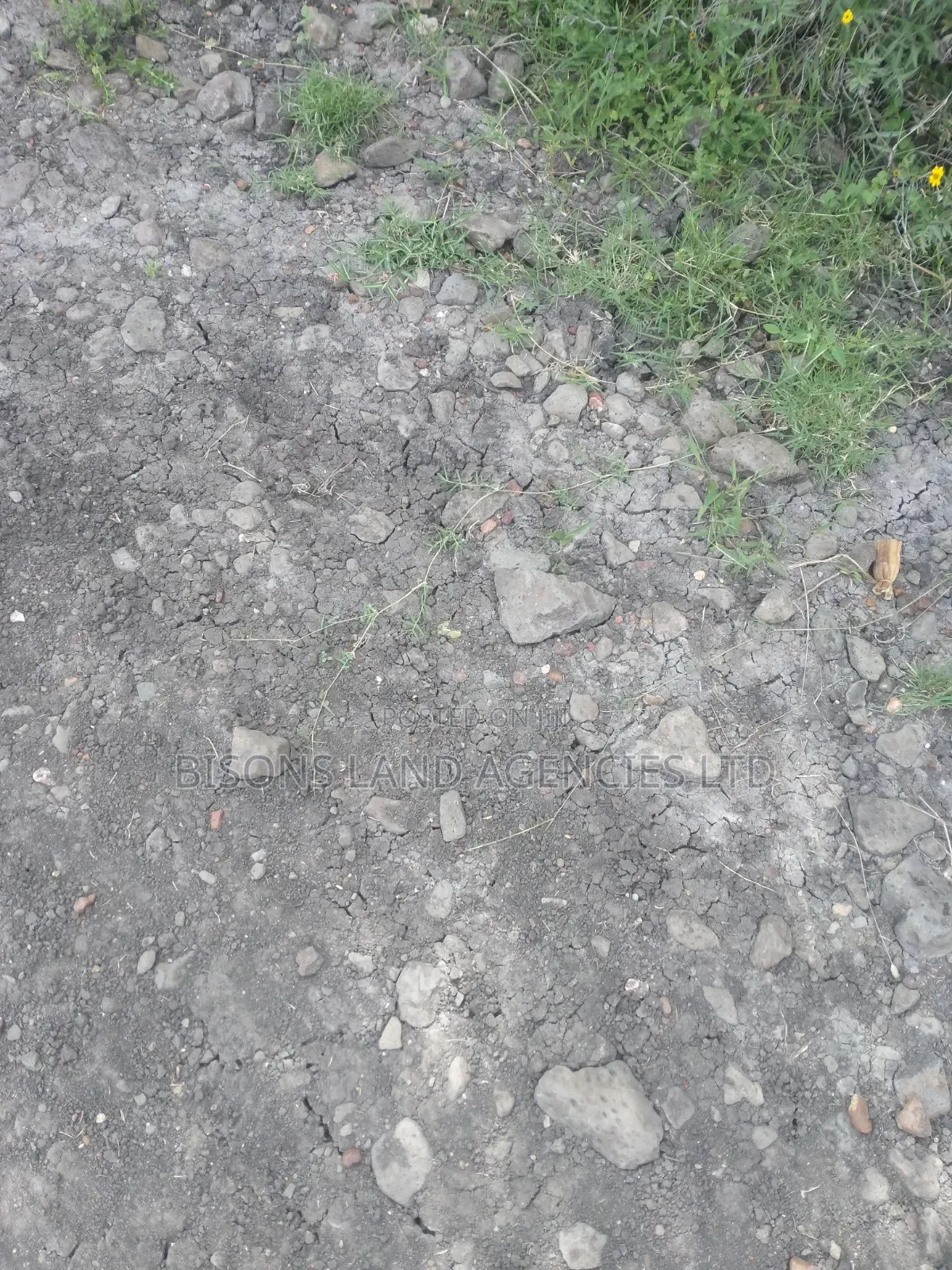 Available One Acre Land for Sale in Kitengela