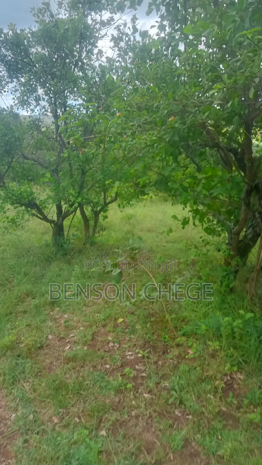 45acres for Sale at Maragua Ridge in Kambiti
