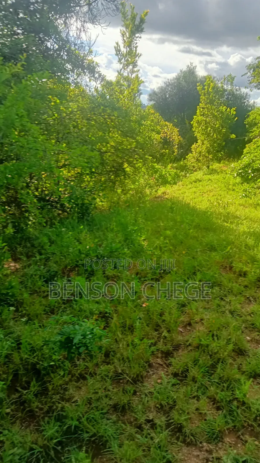 1.5acre Land for Sale St Maragua Ridge in Kambiti