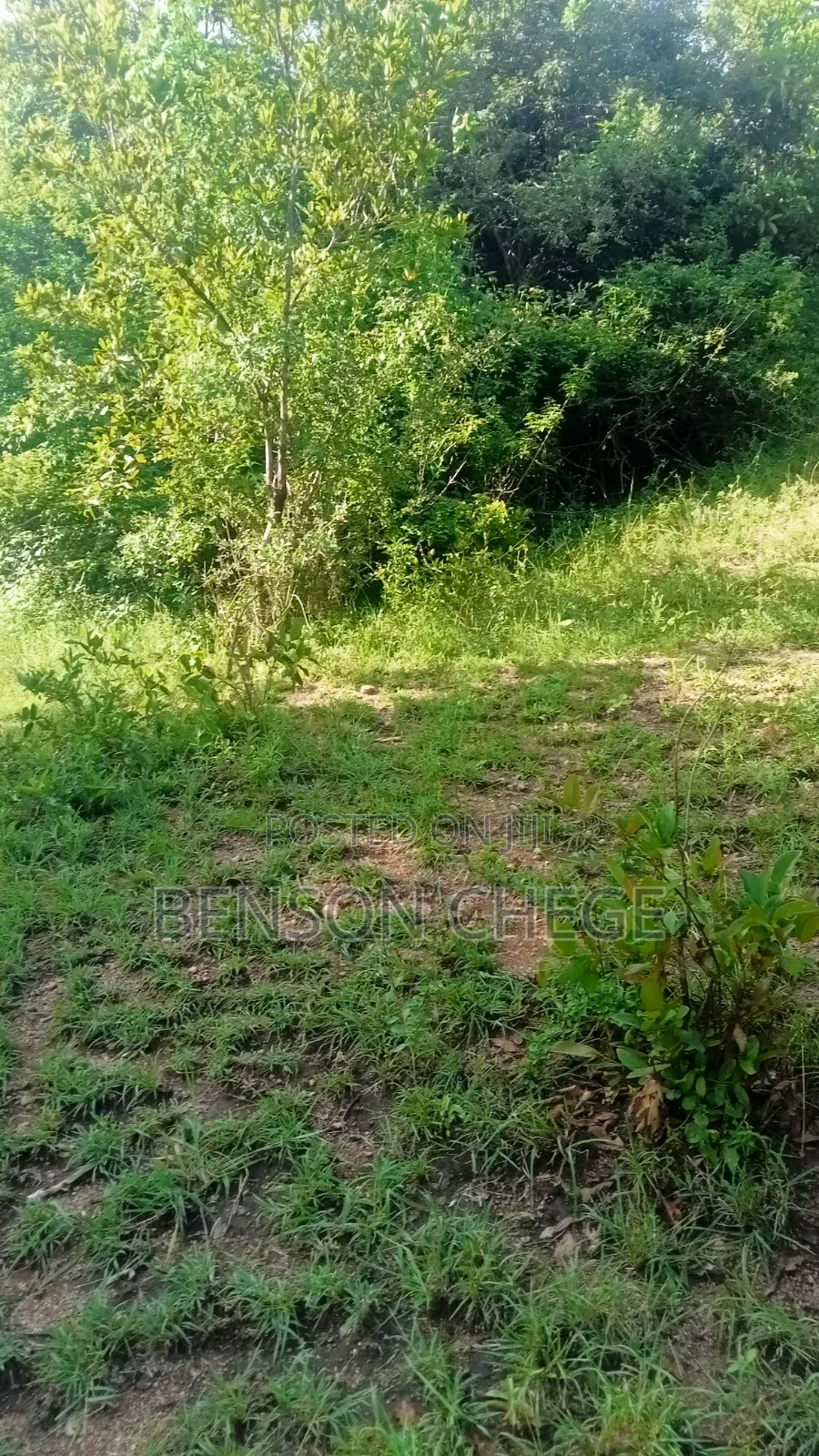1.5acre Land for Sale St Maragua Ridge in Kambiti