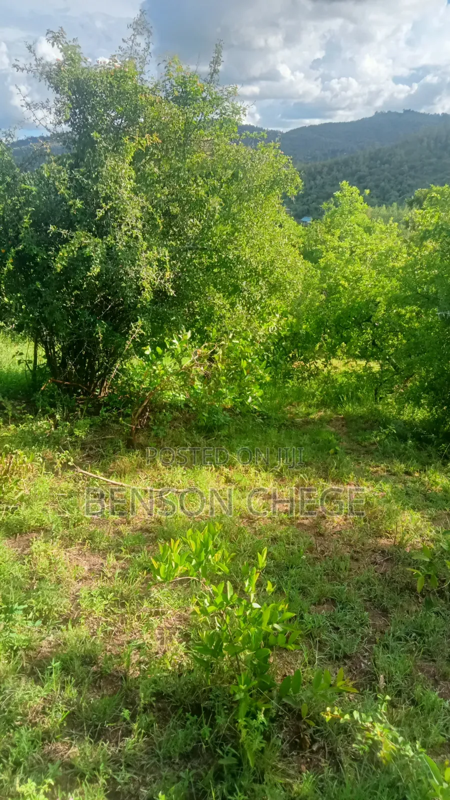 1.5acre Land for Sale St Maragua Ridge in Kambiti