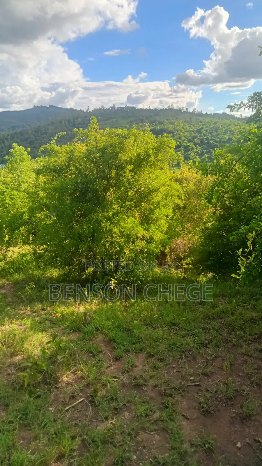 1.5acre Land for Sale St Maragua Ridge in Kambiti
