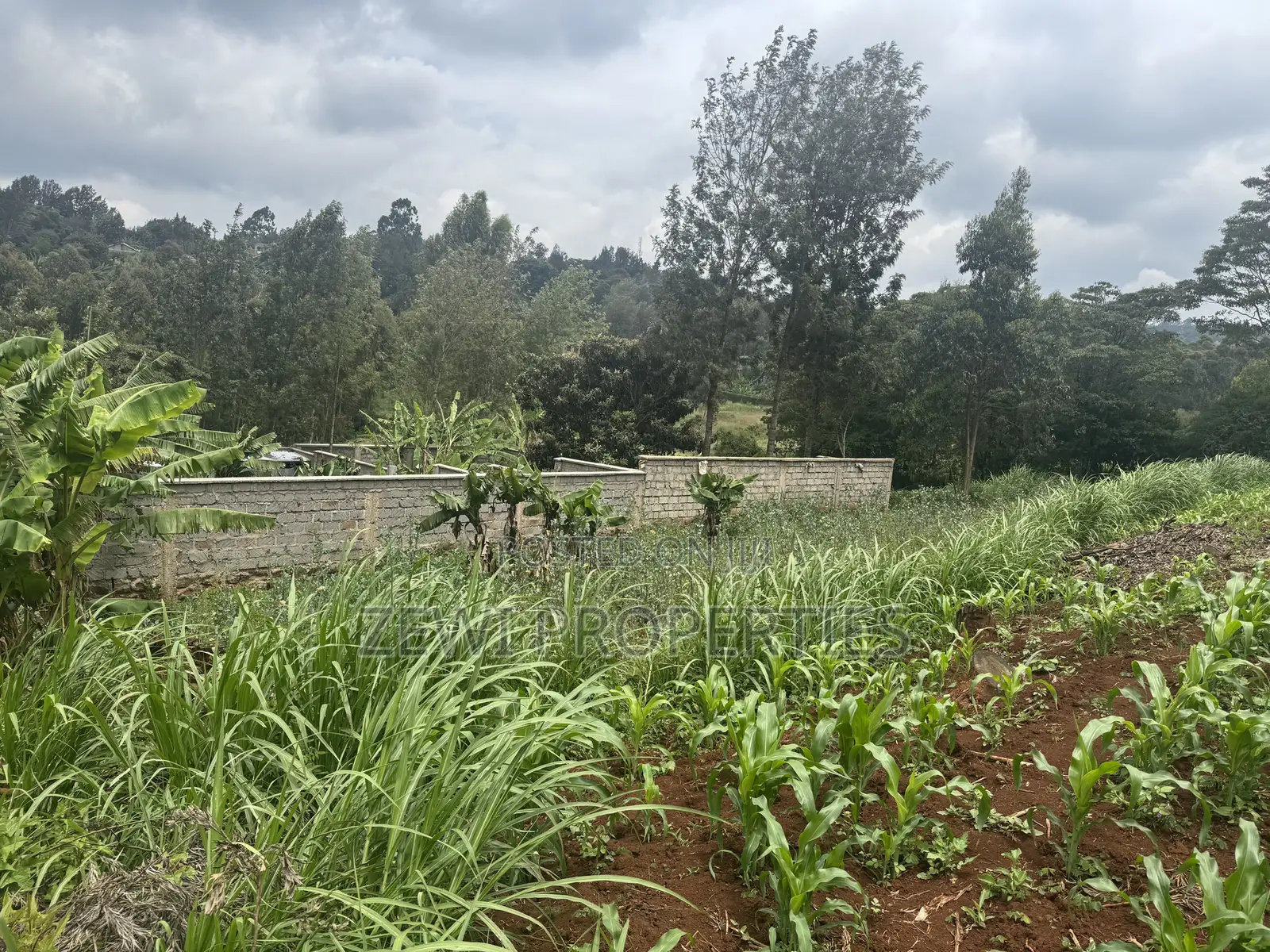 Quater Acre Ngere Road Kibiku in Kibiku