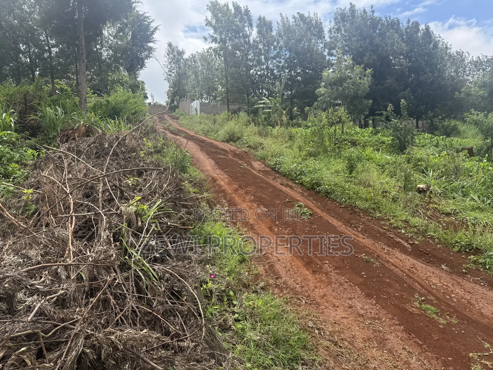 Quater Acre Ngere Road Kibiku in Kibiku