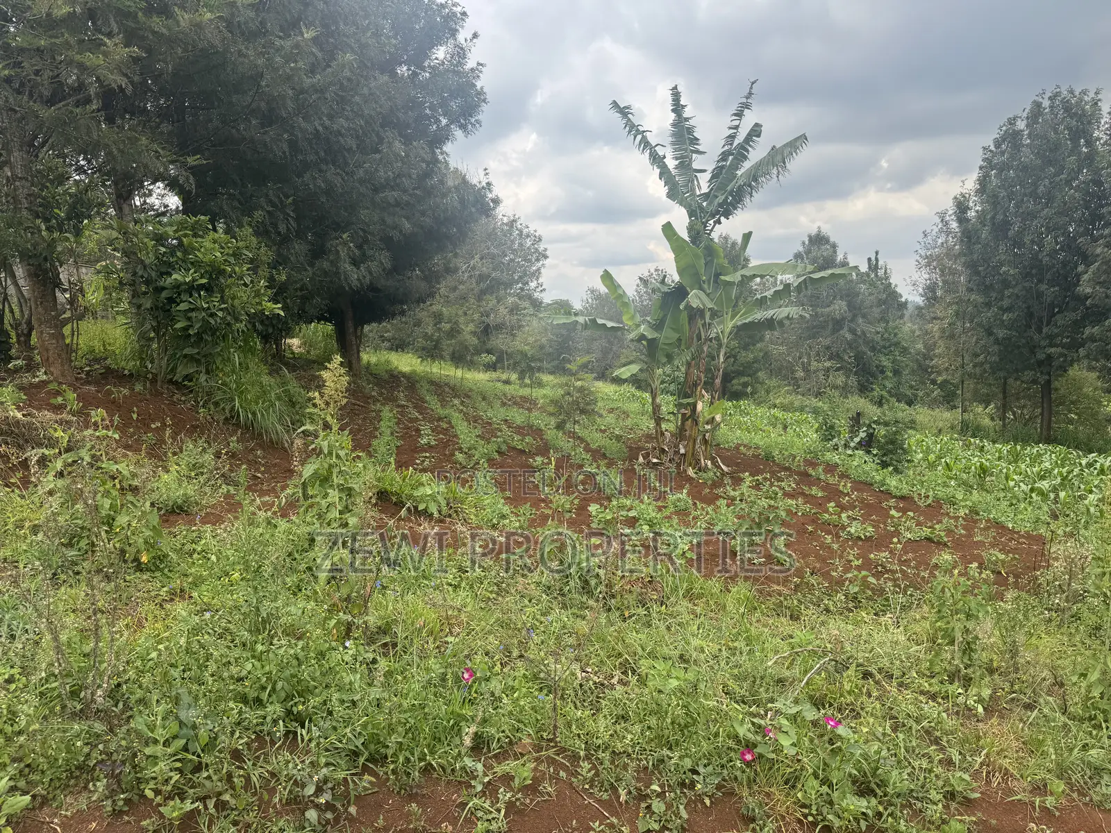 1/8 Acre Ngere Road Kibiku in Kibiku
