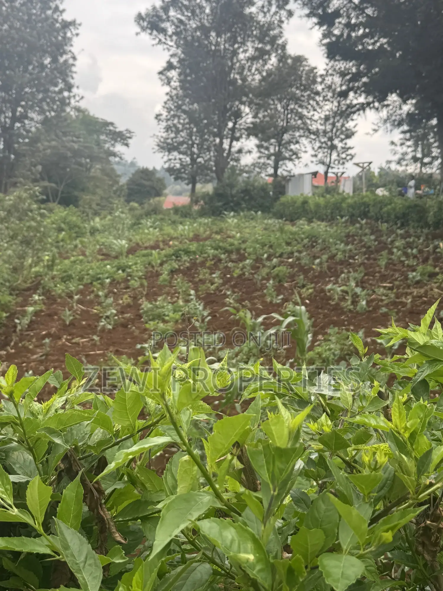1/8 Acre Ngere Road Kibiku in Kibiku