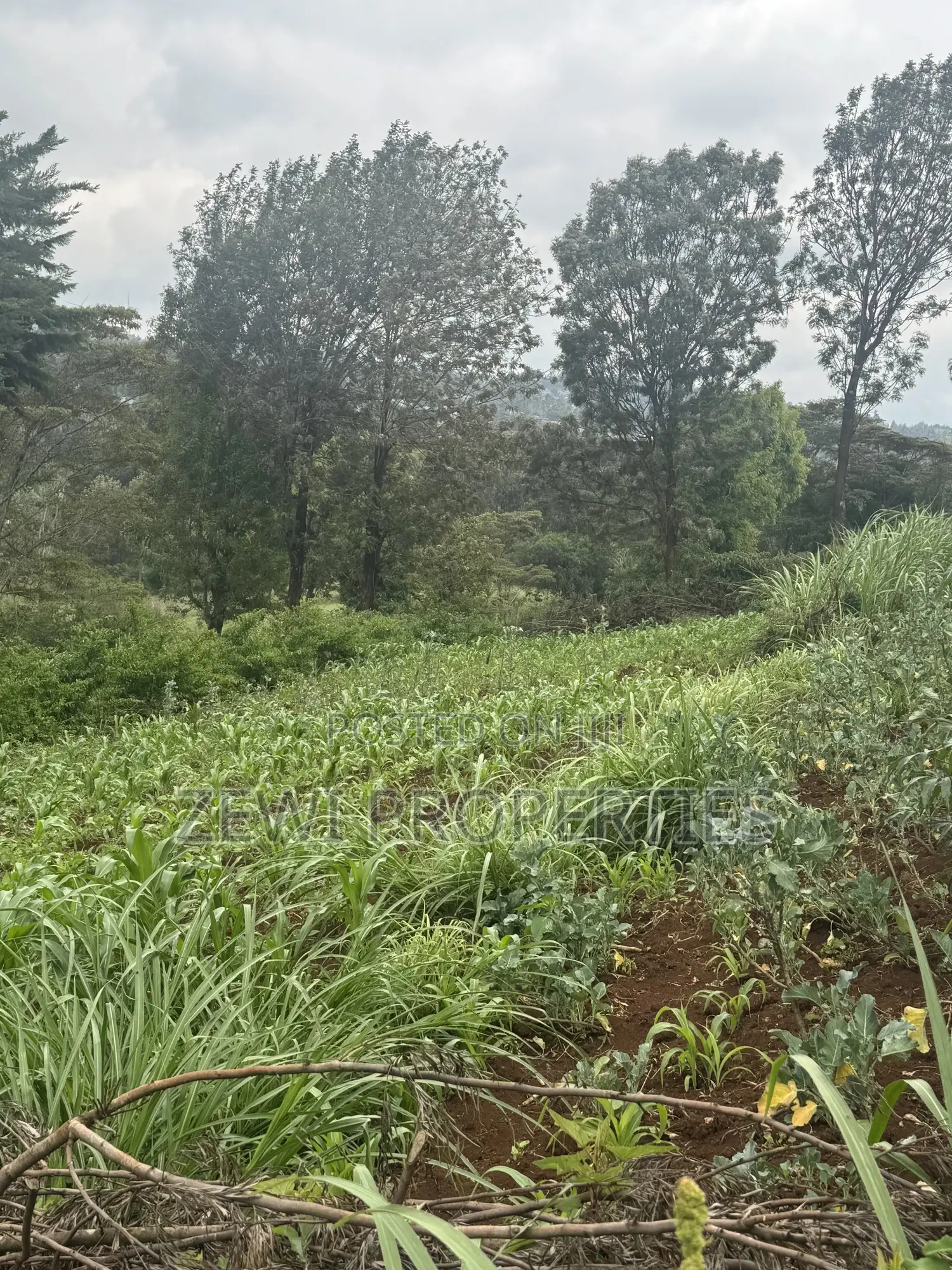 1/8 Acre Ngere Road Kibiku in Kibiku