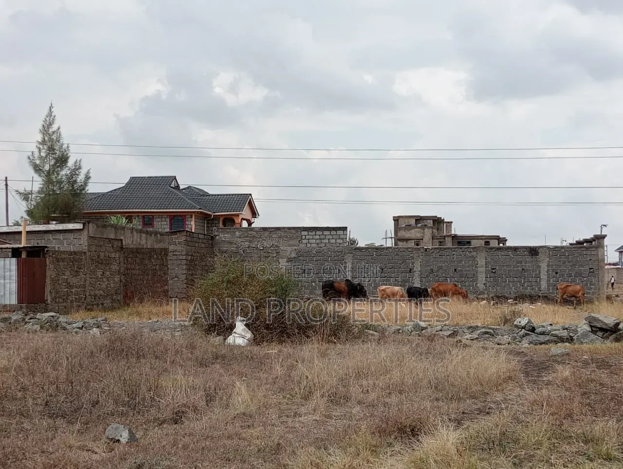 Ruiru Kamakis Plots for Sale Near Eastern Bypass in Kamakis