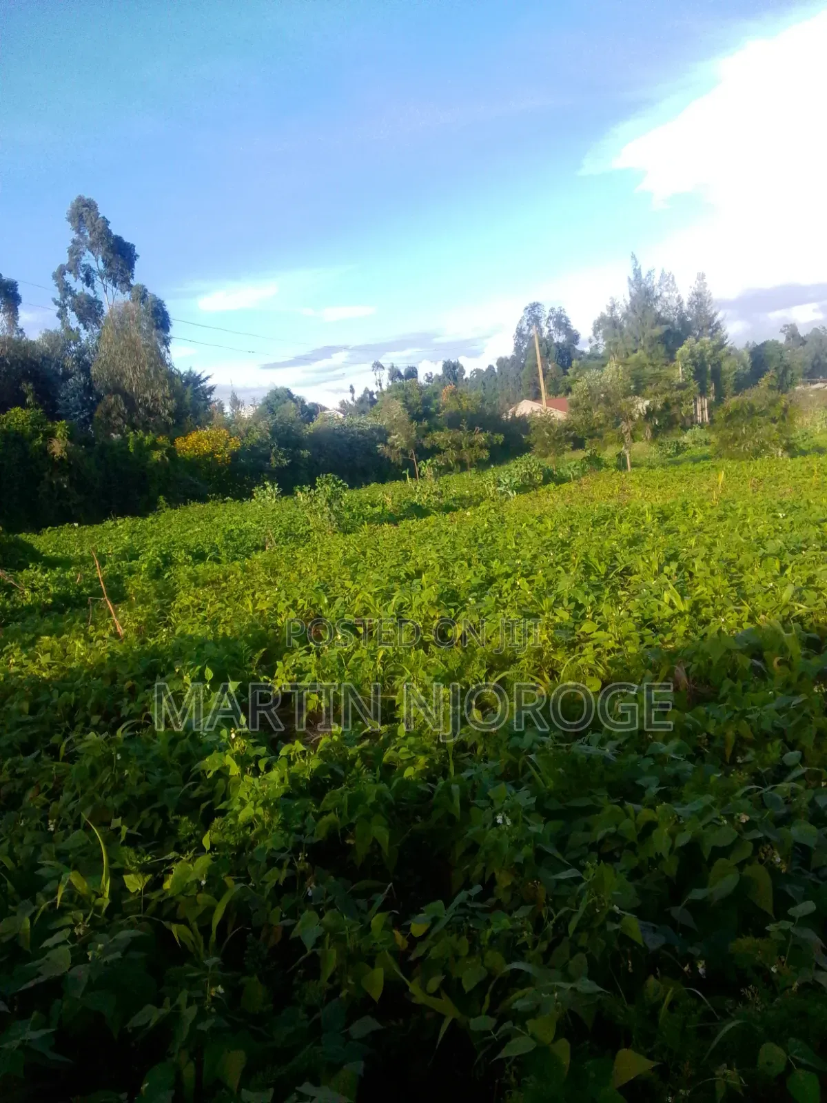 3⁄4 Acre Plot Ngarariga in Bibirioni